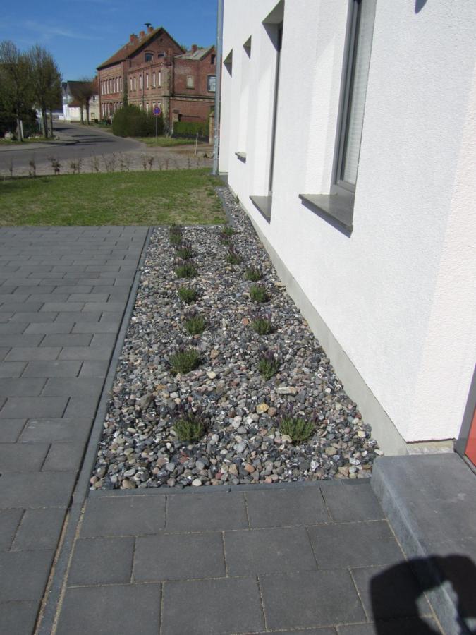 Reusenhaus Sued Vila Breege Exterior foto